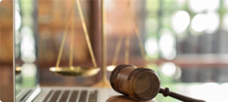 The Landscape of Website Accessibility Lawsuits